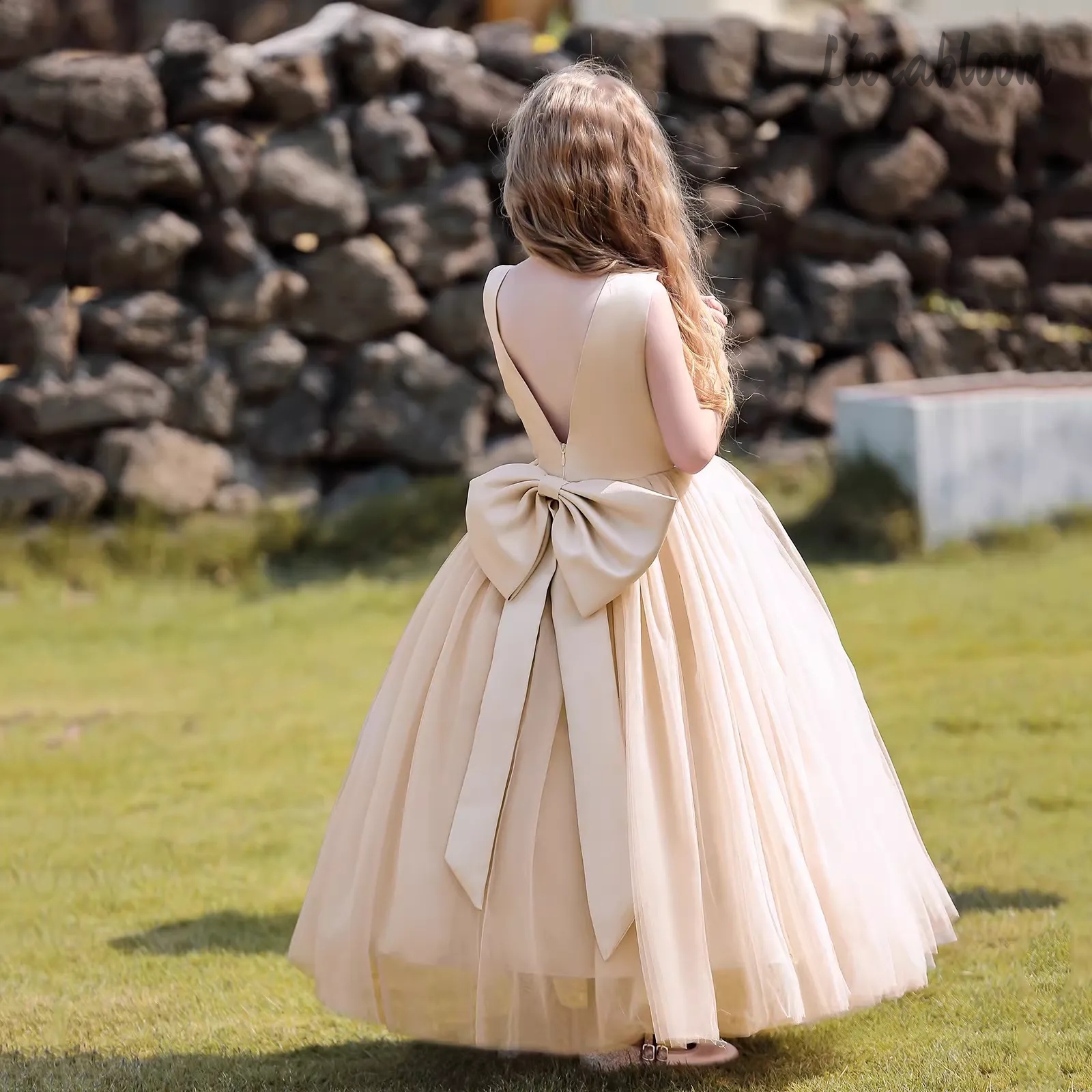 Abito da Principessa Multicolo - Women Formal Wear For Party recensione e prezzo